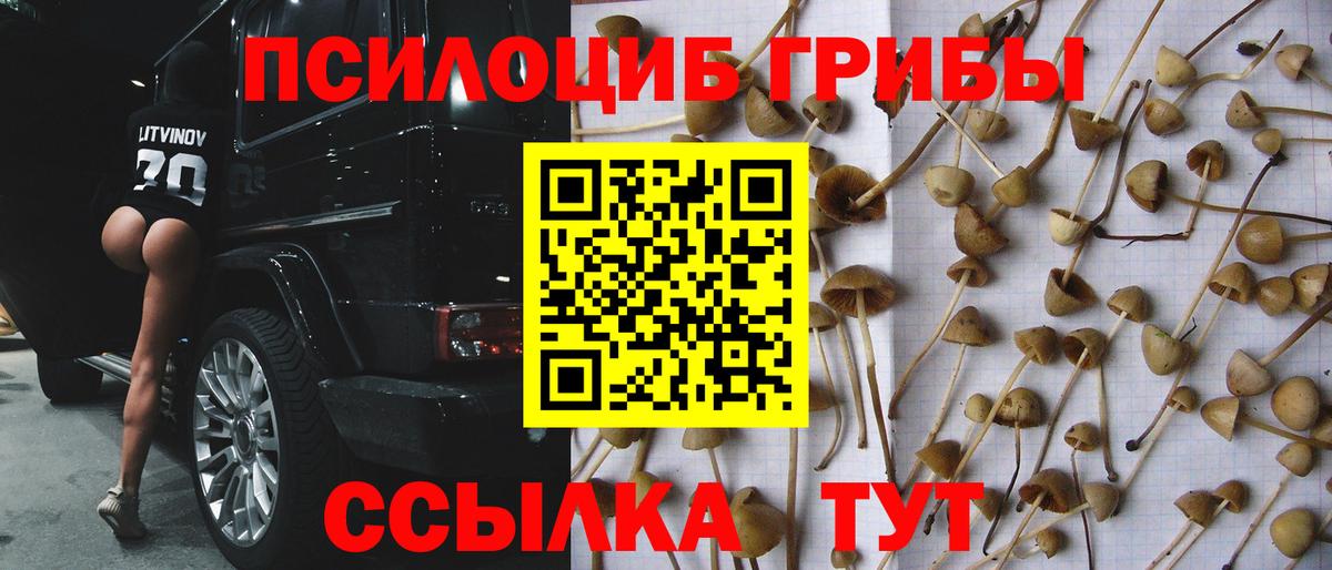 Псилоцибиновые грибы прущие грибы  Галлюциногенные грибы мицелий  Каменка  Вход с VPN 
